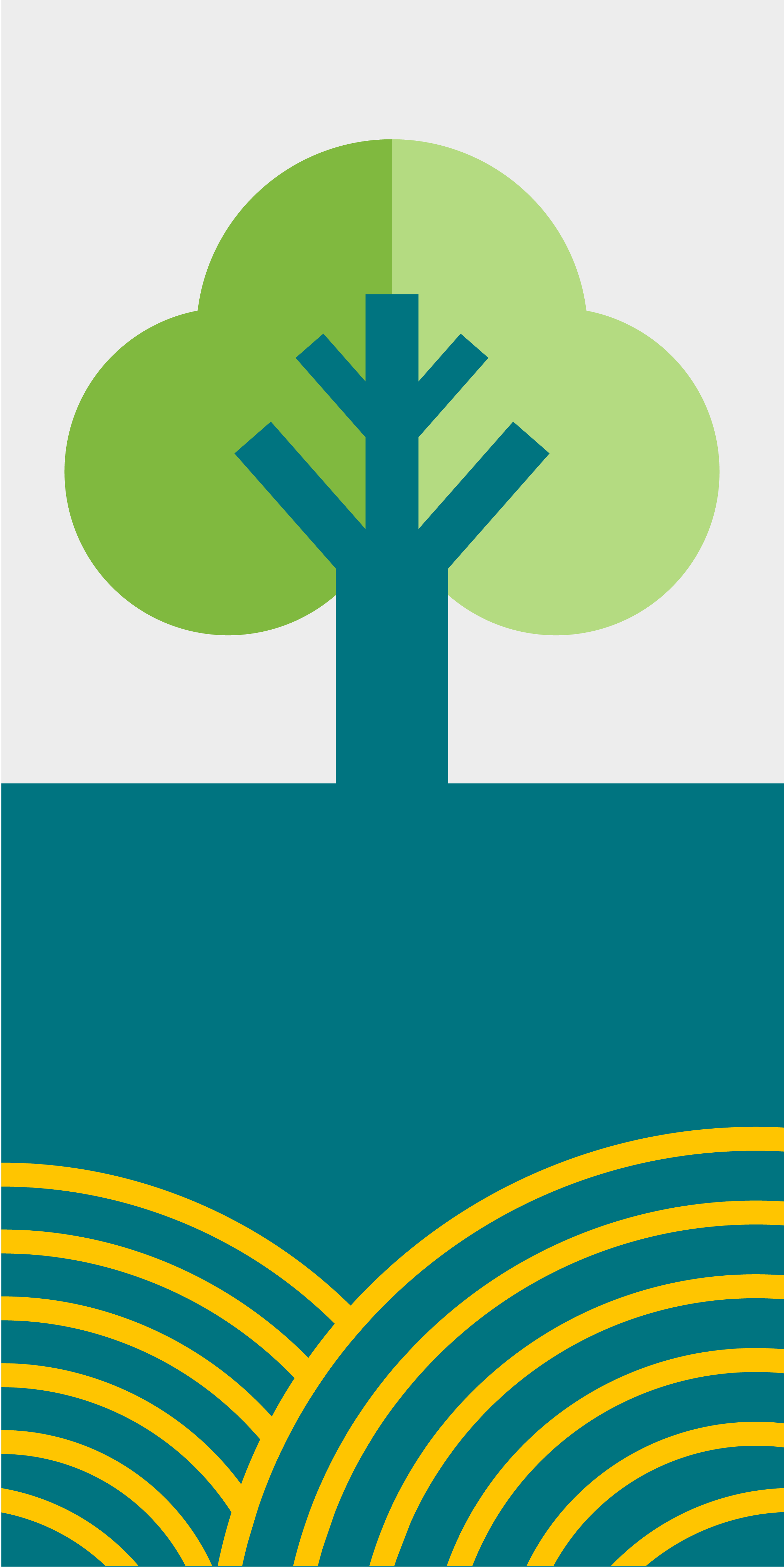 illustration cube arbre